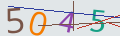 verifycode